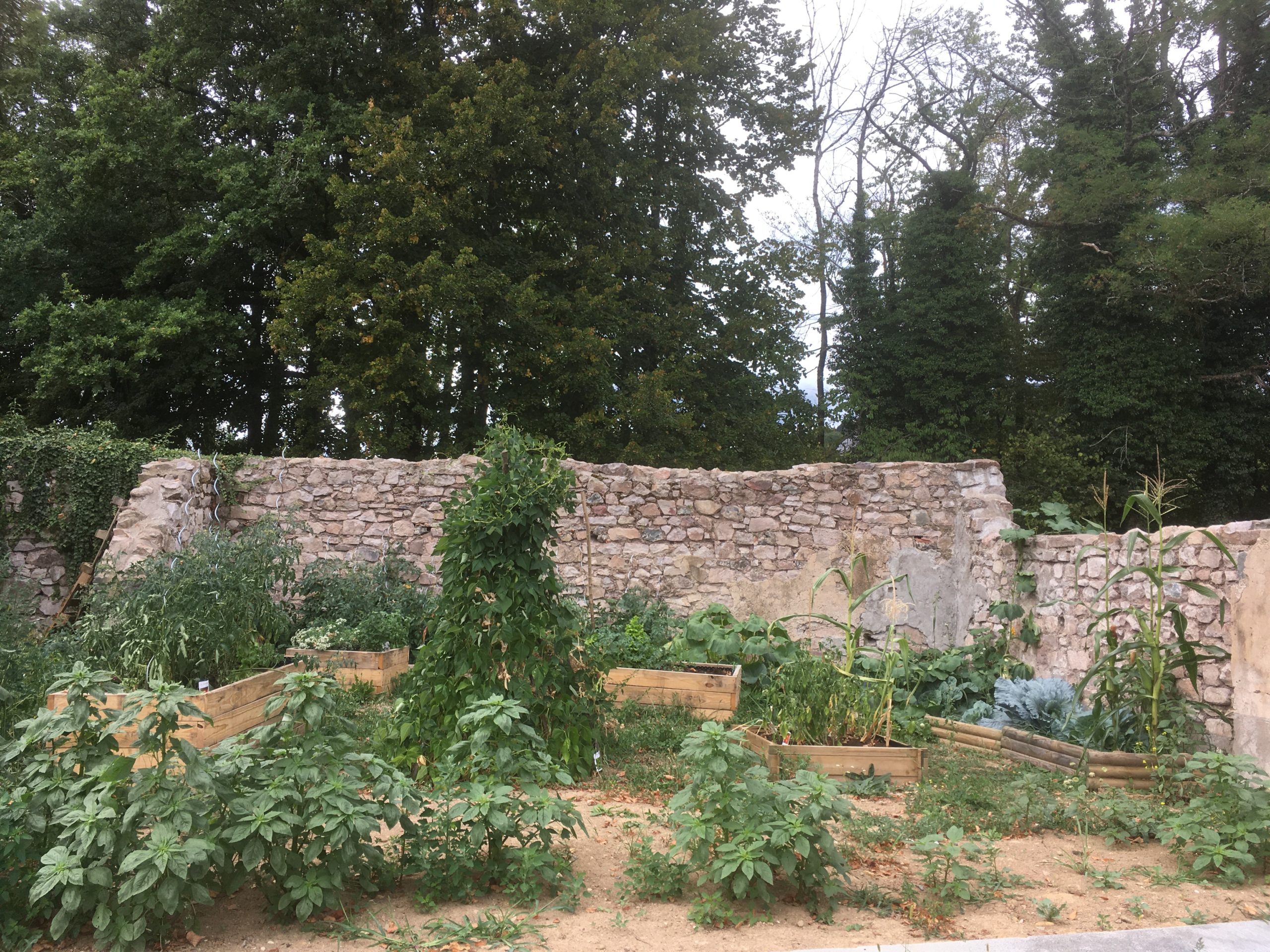 Vue d'ensemble du jardin du Centre Socio culturel de la Haute Savoureuse