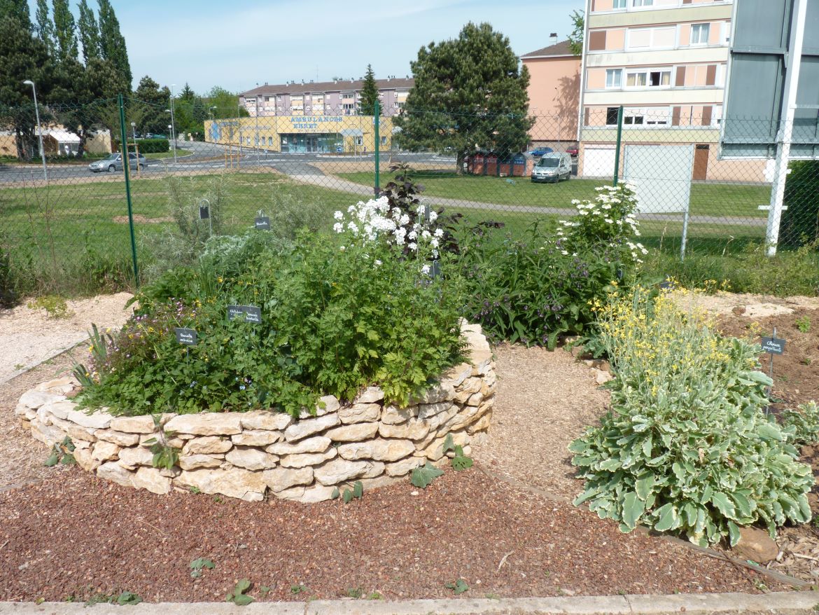 Potager démonstratif de la Douce: un escargot de plantes locales