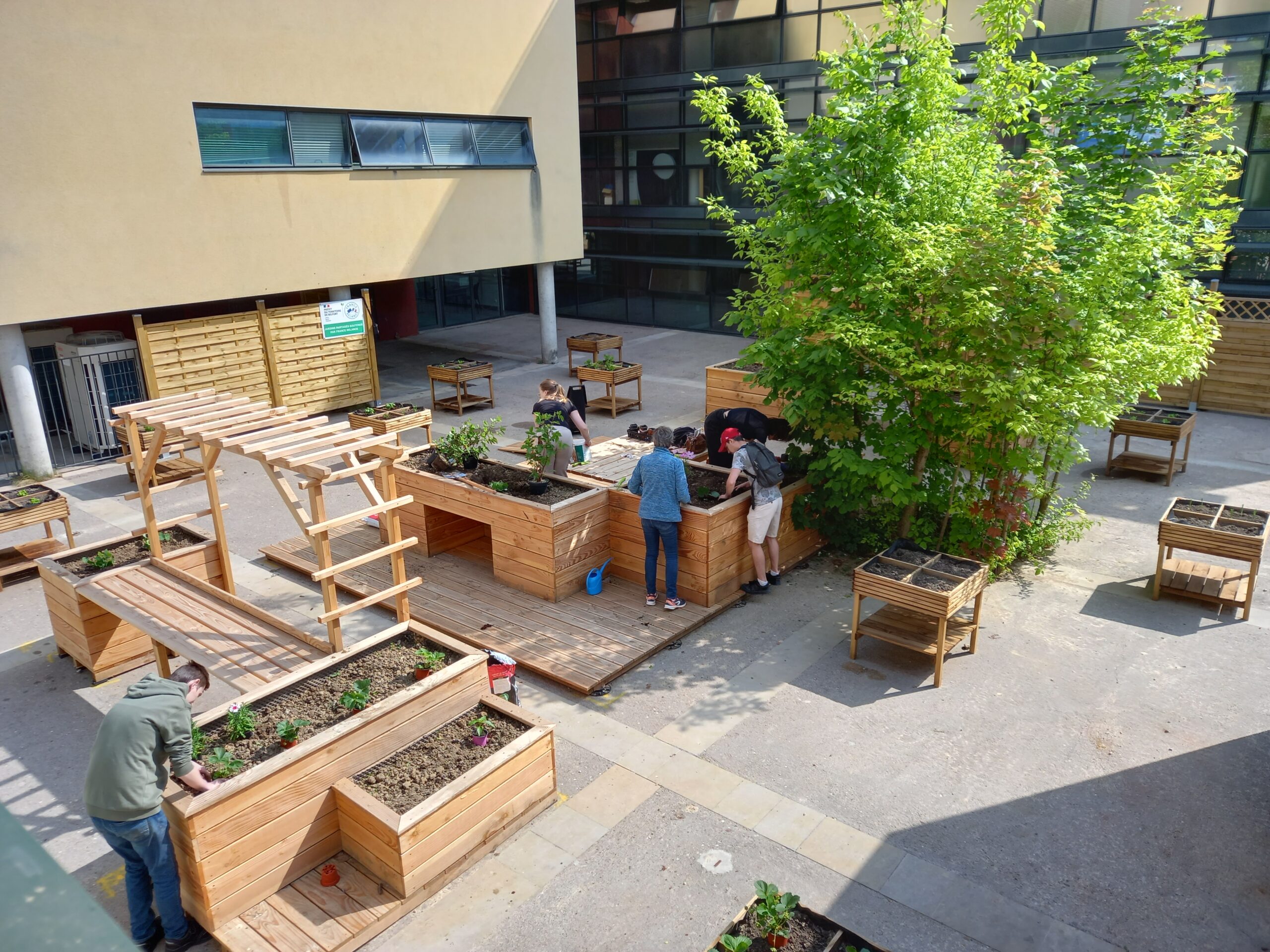 MIFE chantier jeunes de la Mission Locale: plantations avec la Maison de l'Environnement et Permakids