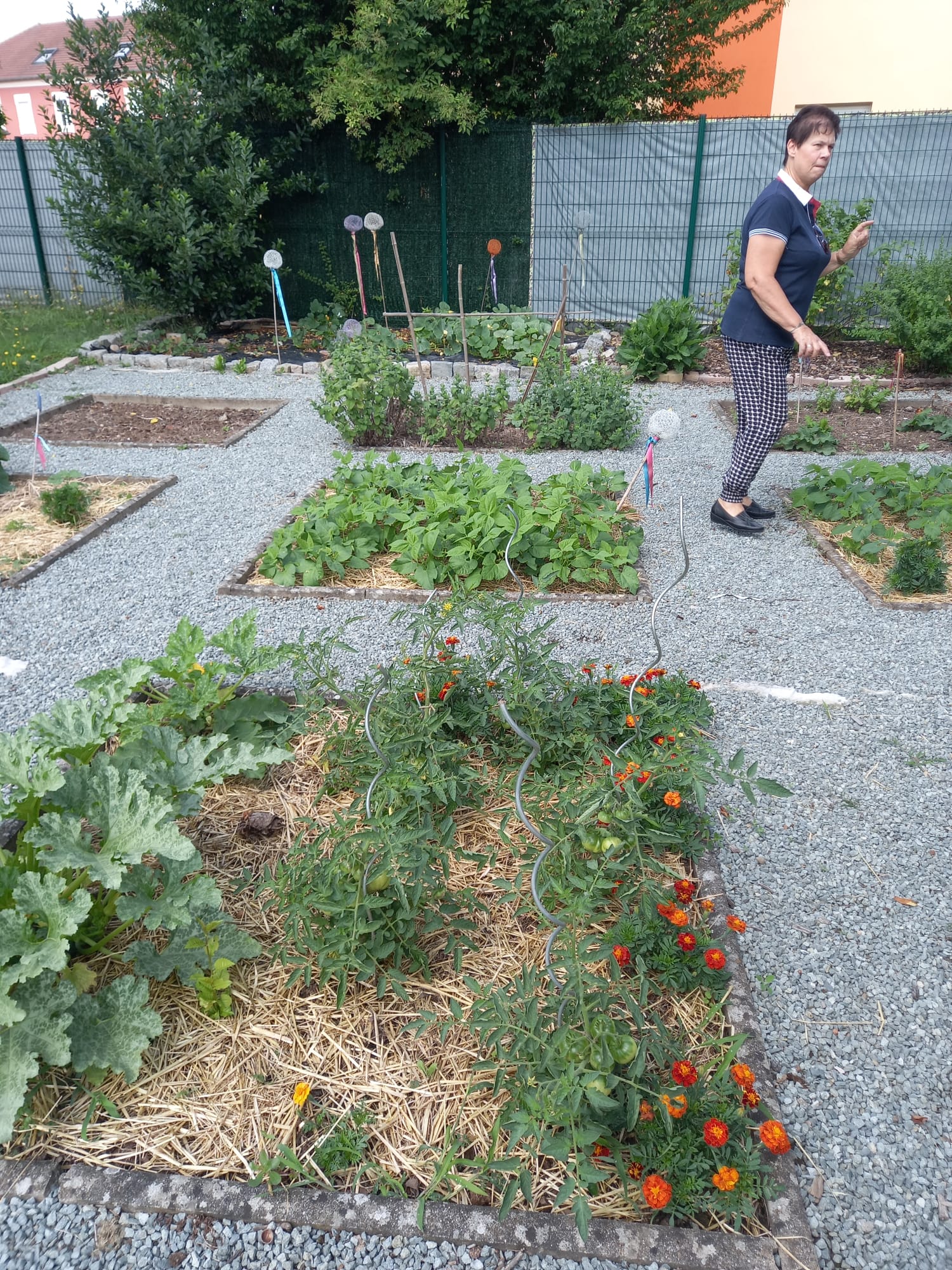 jardin Georges Chané les carrés potagers