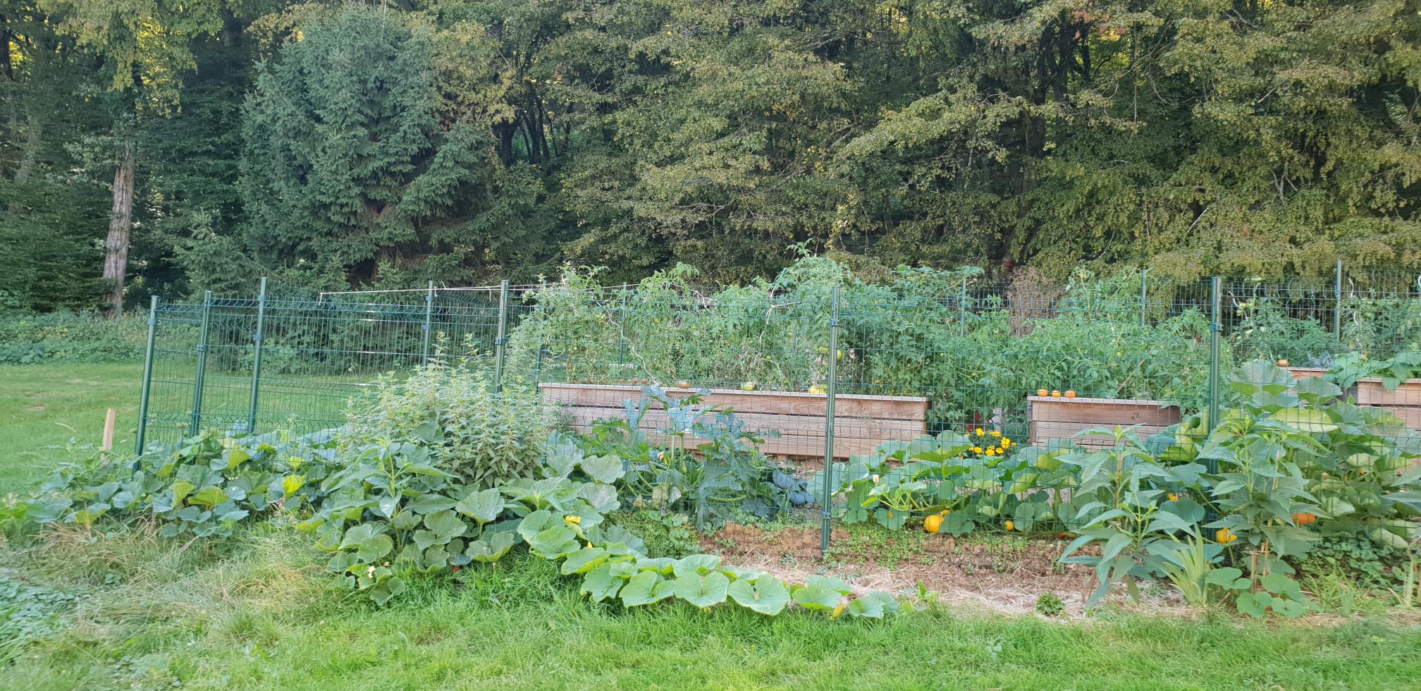 Jardin du Mont vue générale