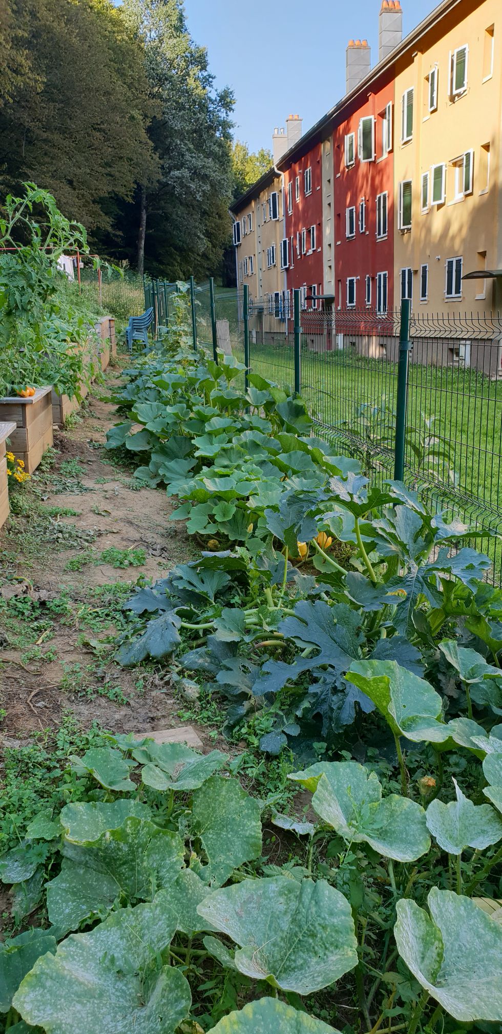 jardin du Mont vue sur la Barre