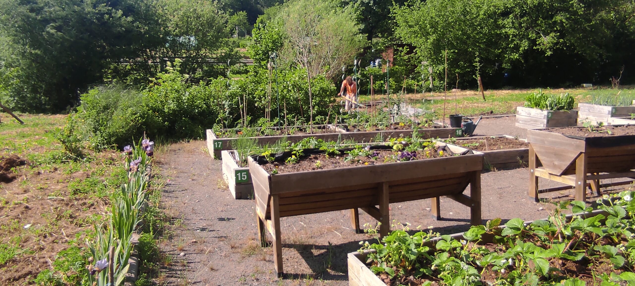 Jardin Intergénérationnel des Forges bacs réhaussés