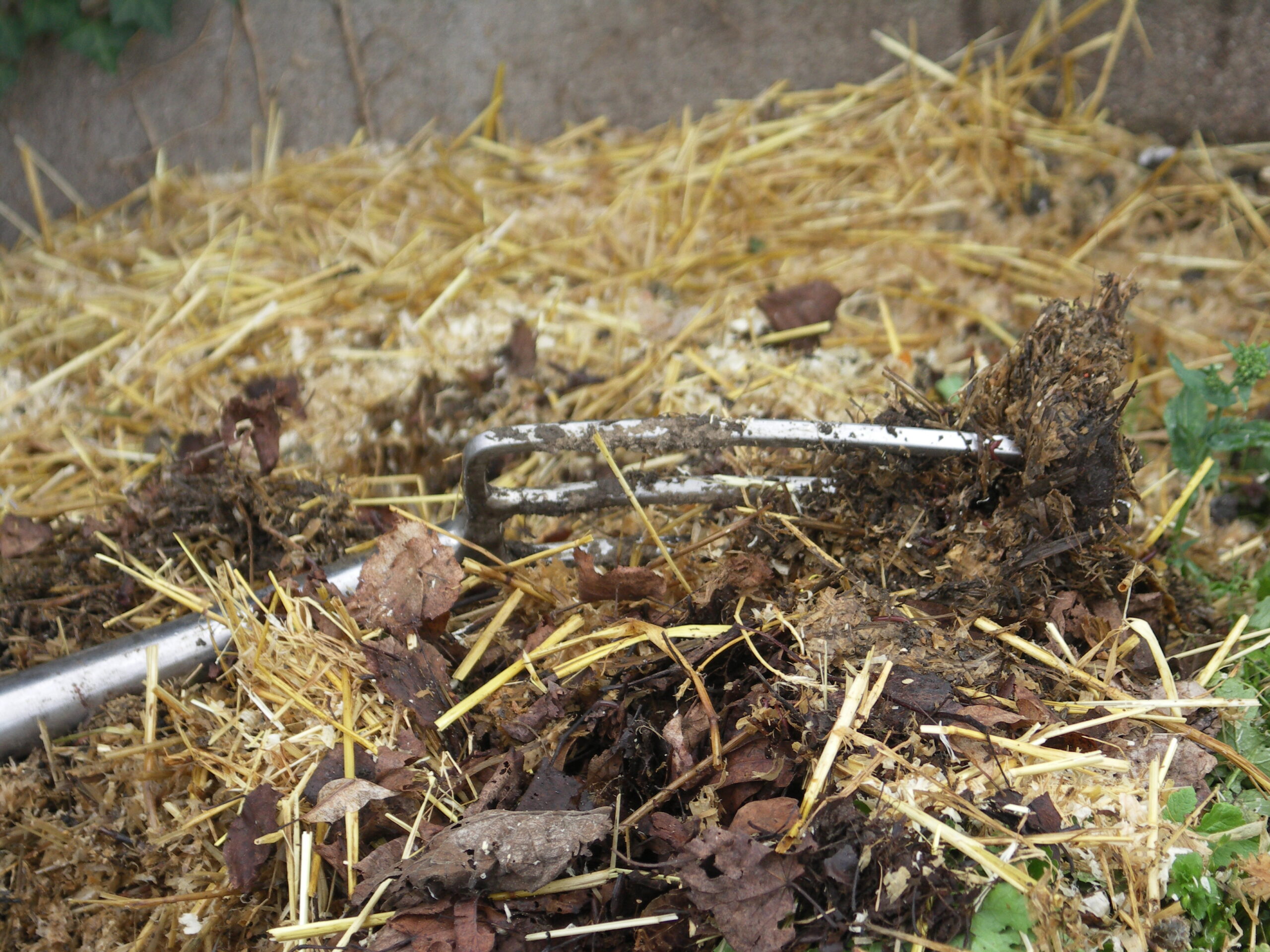 La fourche dans le compost