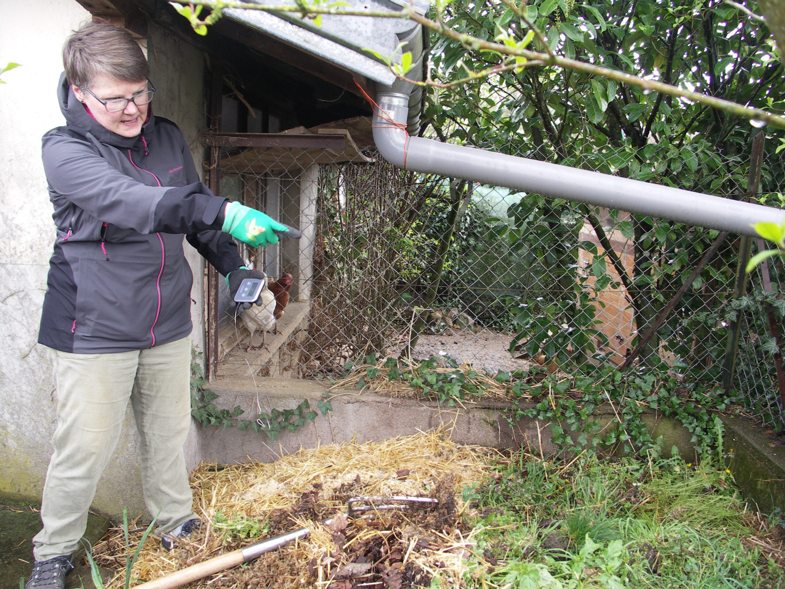 compost, poulailler