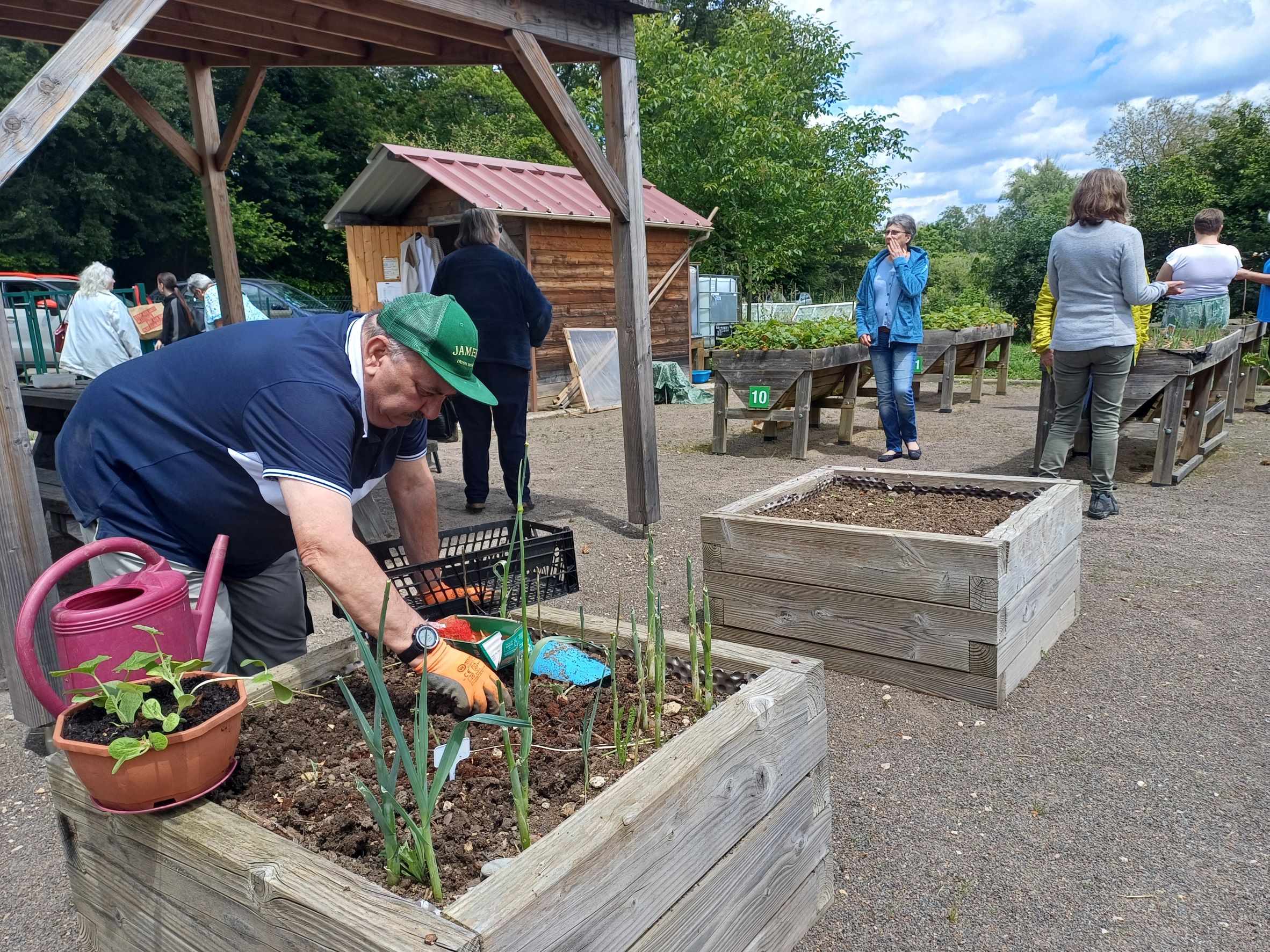 Le jardinier et les poireaux