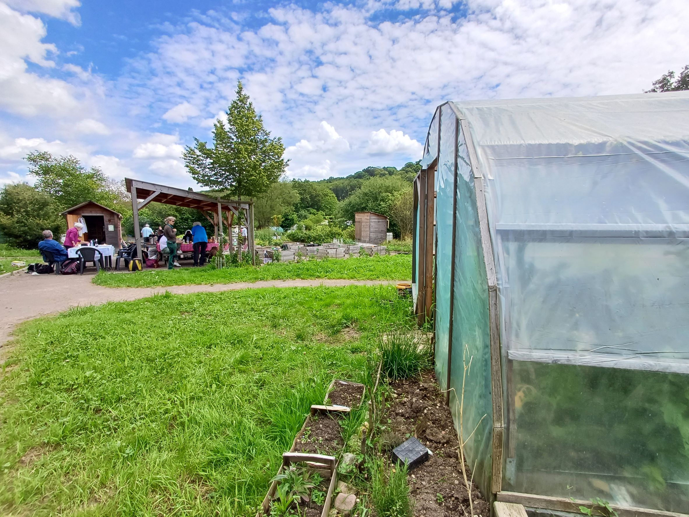 serre jardin accessible