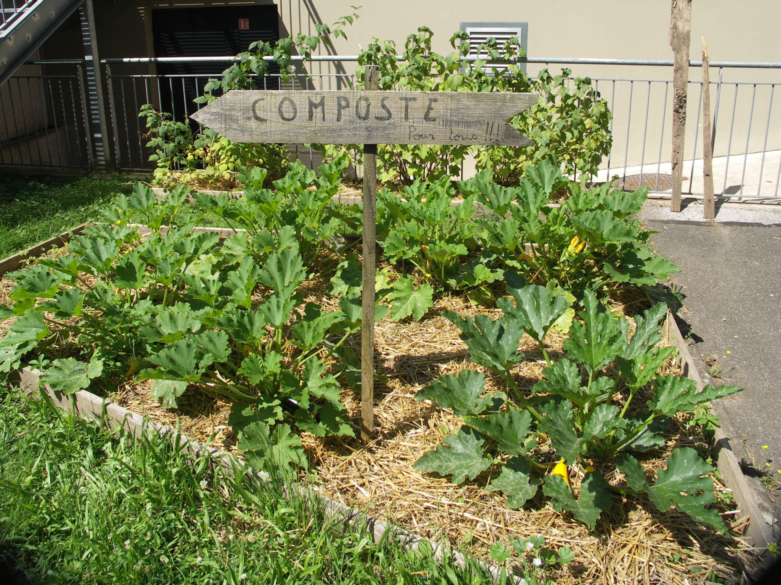 MQ Centre ville-Compost pour tous