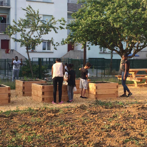 les jeunes investissent les carrés potagers