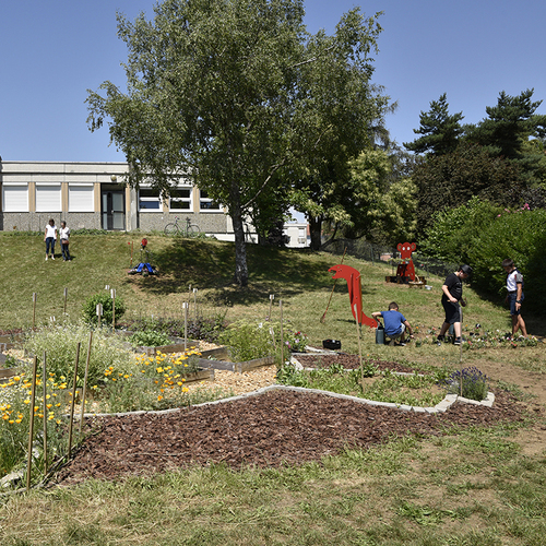 un jardin en forme de tortue, collège Mozart