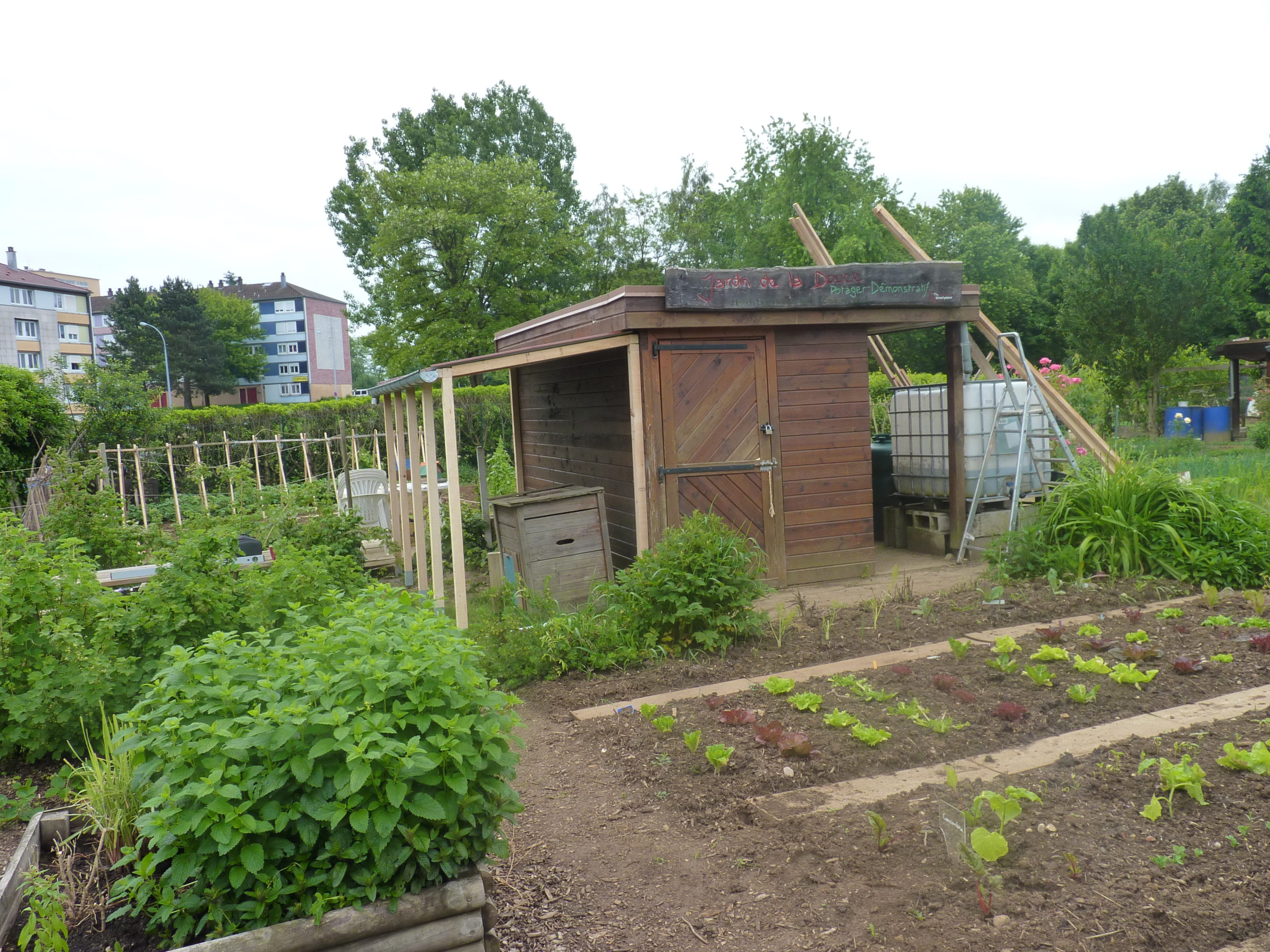 Jardin ouvrier du parc de la Douce: le cabanon; le récupérateur d'eau