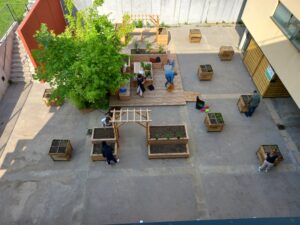 MIFE plantations avec la MDE