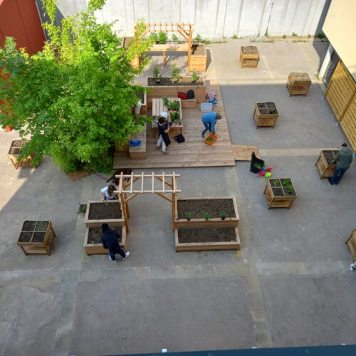 MIFE plantations avec la MDE