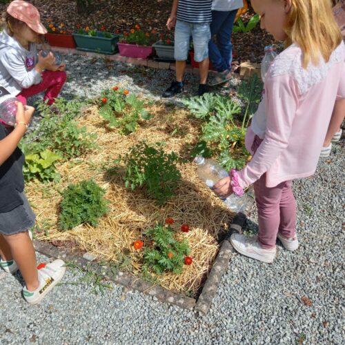 jardin Georges Chané arrosage après plantation de fleurs