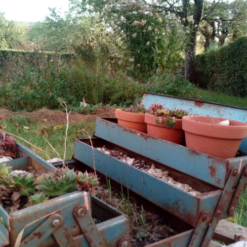 caisse à outils détournée-les-herbes-folles