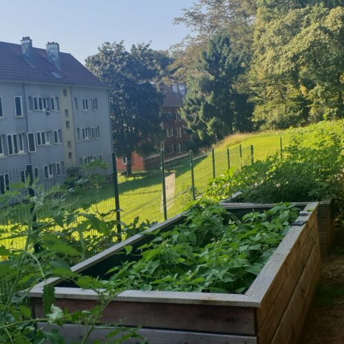 Jardin du Mont, vue sur Barres et Forêt