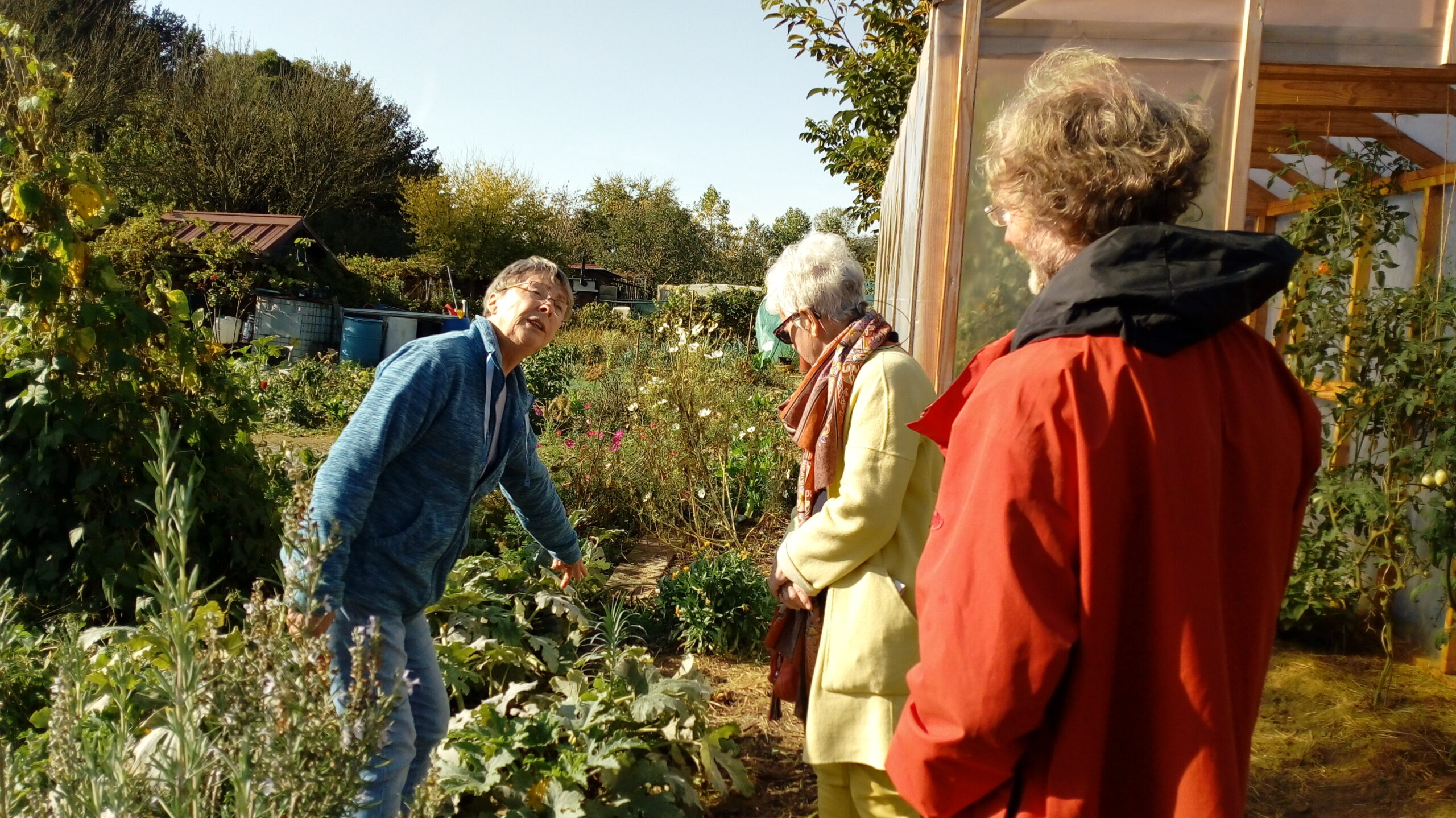 potager de la Douce visite du Réseau