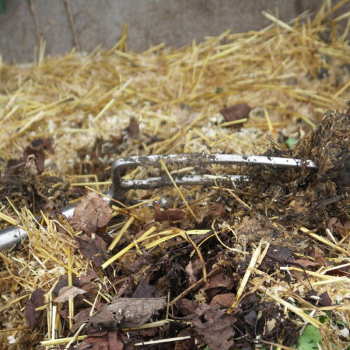 La fourche dans le compost