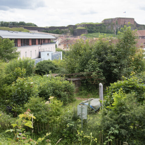 3Jardin-suspendu-juin-24