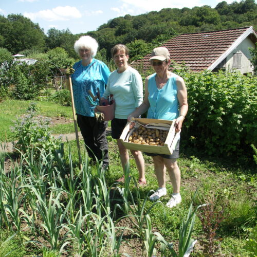 Sous-les-tilleuls-les-gens-du-jardin
